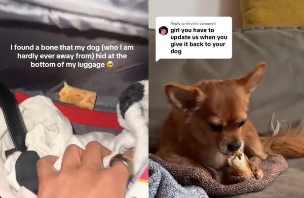 !毛孩子偷偷塞了件东西全网都被暖哭了…pg电子娱乐平台出差打开行李箱直接泪崩(图2) !毛孩子偷偷塞了件东西全网都被暖哭了…pg电子娱乐平台出差打开行李箱直接泪崩(图2)