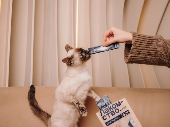 pet宠物零食以昆虫蛋白开辟全新赛道pg电子首页中俄联合品牌cosmo(图2)