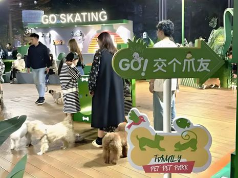 生丨宠物坐高铁侯毅下厨房pg电子平台实探派特鲜(图4)