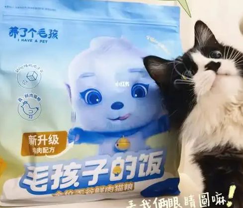 子口粮！三只松鼠靠什么重返宠物食品赛道pg电子免费试玩模拟器零食巨头盯上毛孩(图4)